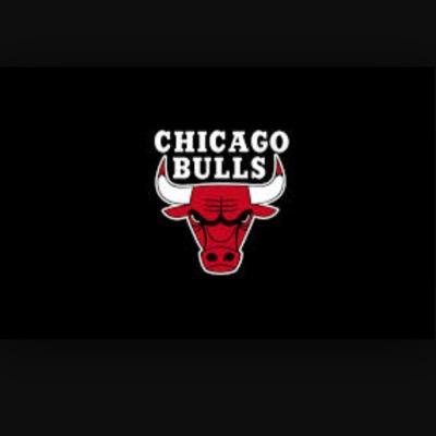 Chicago Bulls Everything