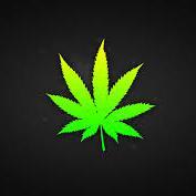 I am just an average day person with a love for the herb.