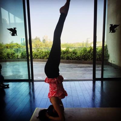 Yoga Instructor // Production Manager, @qineticlive move the body. eat well. think positively. love and feel gratitude for this life.