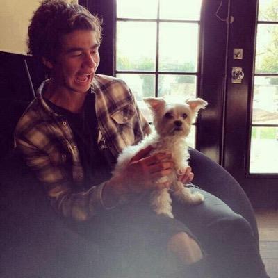 follow my main account: @mahonesgroupie✨ Calum Hood❤️