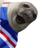 RangersSeal's profile image