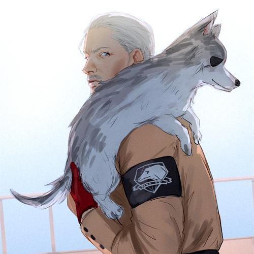 DDTheWolf1 Profile Picture