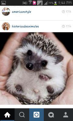 hola me llamo Javiera me encanta ver videos de mis youtubers favoritos y me encanta #amoraprueba