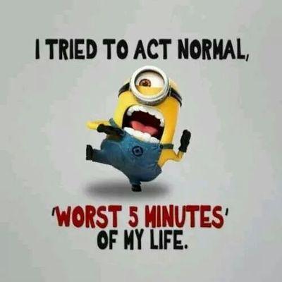 mrbricky's profile picture. 