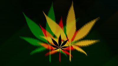 Follow me if you love stoner tweets and bad ass music