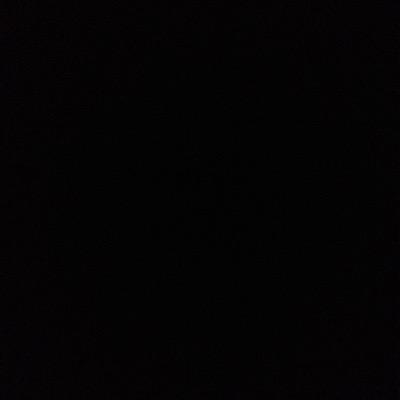 08_pony's profile picture. 