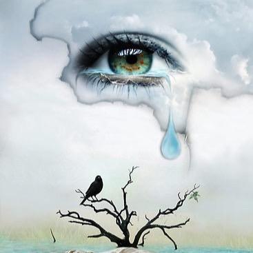 psychobabbler1's profile picture. Retired School Psychologist. Avid reader. Supporter of environmental causes and animal rescue. Beatles and PJ fan. Pro-science, pro-choice, anti-GOP.