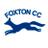 FoxtonCC's profile image