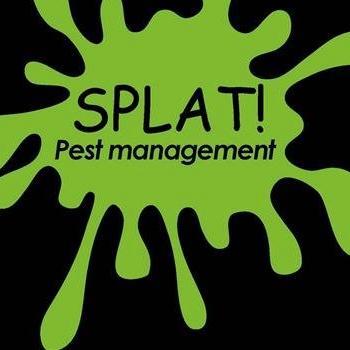 Professional Pest Control Services