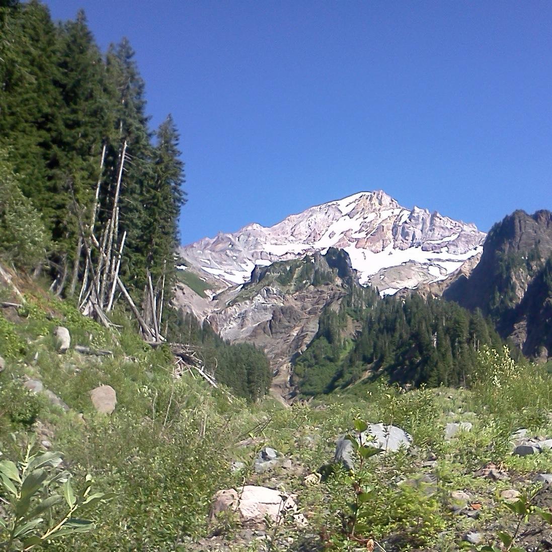 stumptownpix's profile picture. 