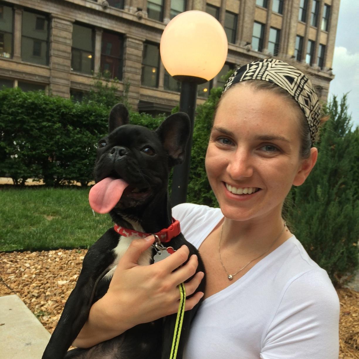 Fun loving French Bulldog always ready for the next adventure especially when they involve the park!