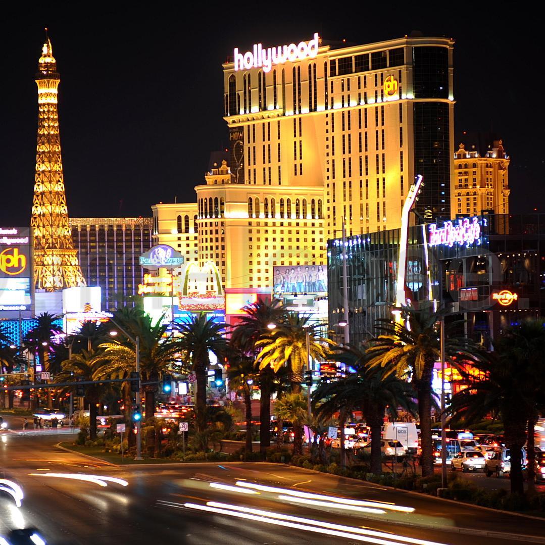 ToutEvolution's profile picture. 