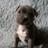 courtneyjowen13's profile image