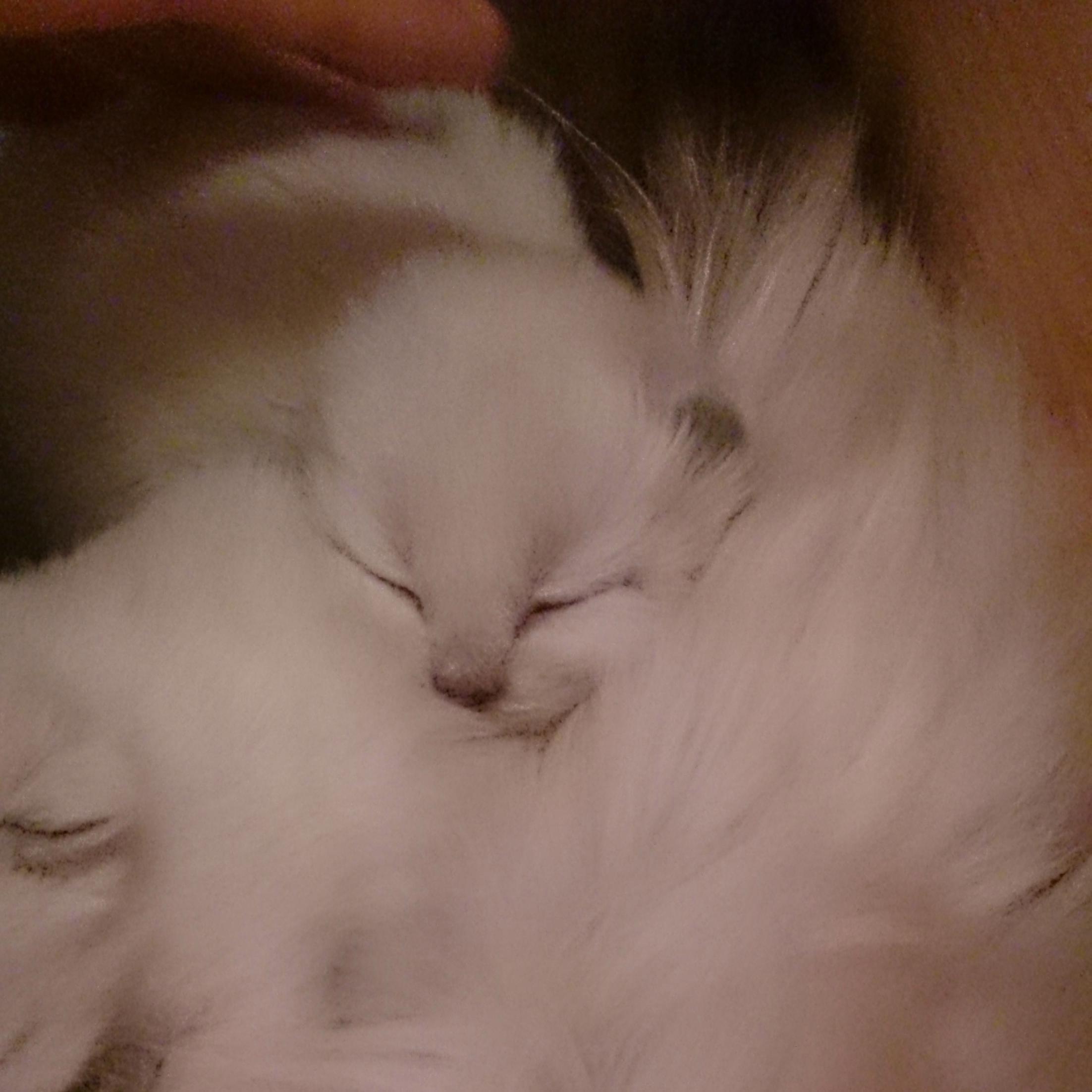 patatami's profile picture. 