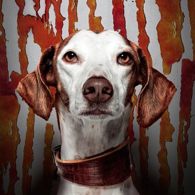 Tact_Fact's profile image