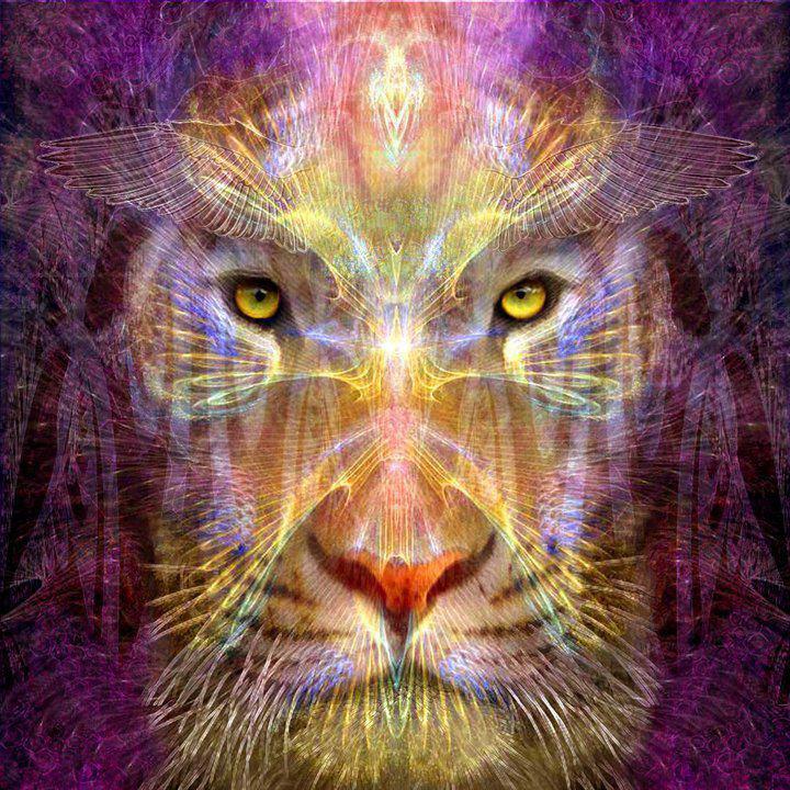 LelionduKatanga's profile picture. 