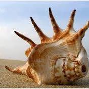 saga5574's profile picture. You know you’re in love when you can’t fall asleep because reality is finally better than your dreams.