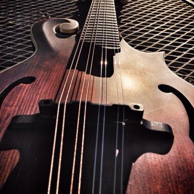 hobodale's profile picture. guitarist/singer/songwriter/traveler/writer/wannabe-chef culinary arts enthusiast/optimistic-pessimist.