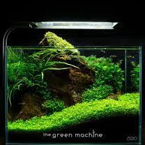 chris200902a's profile picture. 