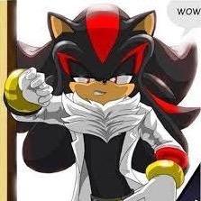 Shadow The SweetHog A hedgehog that is always sweet [AU] #Engaged by @JadeNinjagirl1 Protector : Red Shift