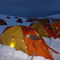 Lesley Burnett (@lesleyburnett1) 's Twitter Profile Photo