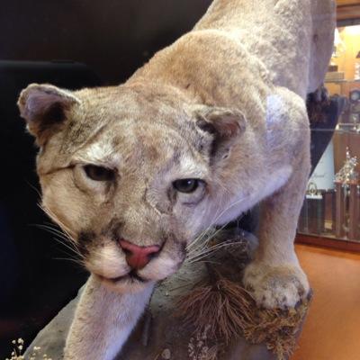 McLeanCoHS's profile picture. Developing students to become lifelong learners and responsible individuals.