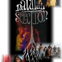 Natural Selection (@nattyselect1) 's Twitter Profile