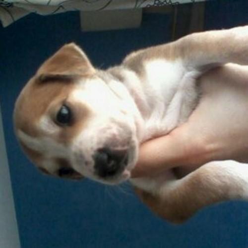 LeonChantler's profile picture. 