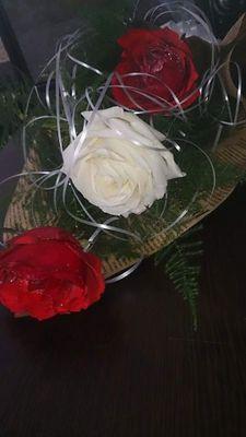 abd_qassim's profile picture. 