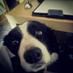 Deirdre Hussey (@deehussey) Twitter profile photo