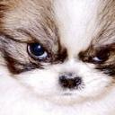 Jonathan marte - @JonathanMarte5 - Twitter