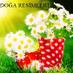 DOĞA RESİMLERİ (@doga813) Twitter profile photo