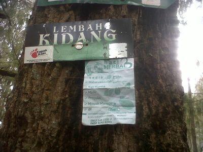 Toko obat-obat Herbal,menjual: habbatusauda,Sari Kurma, Propolis,klorofil, Minyak manggis dan sirsak,Zaitun,Madu dll. 082332435024 | 79EBDB94