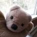 Jackyware Bear (@bearpkwilli) Twitter profile photo Jackyware Bear (@bearpkwilli) Twitter profile photo