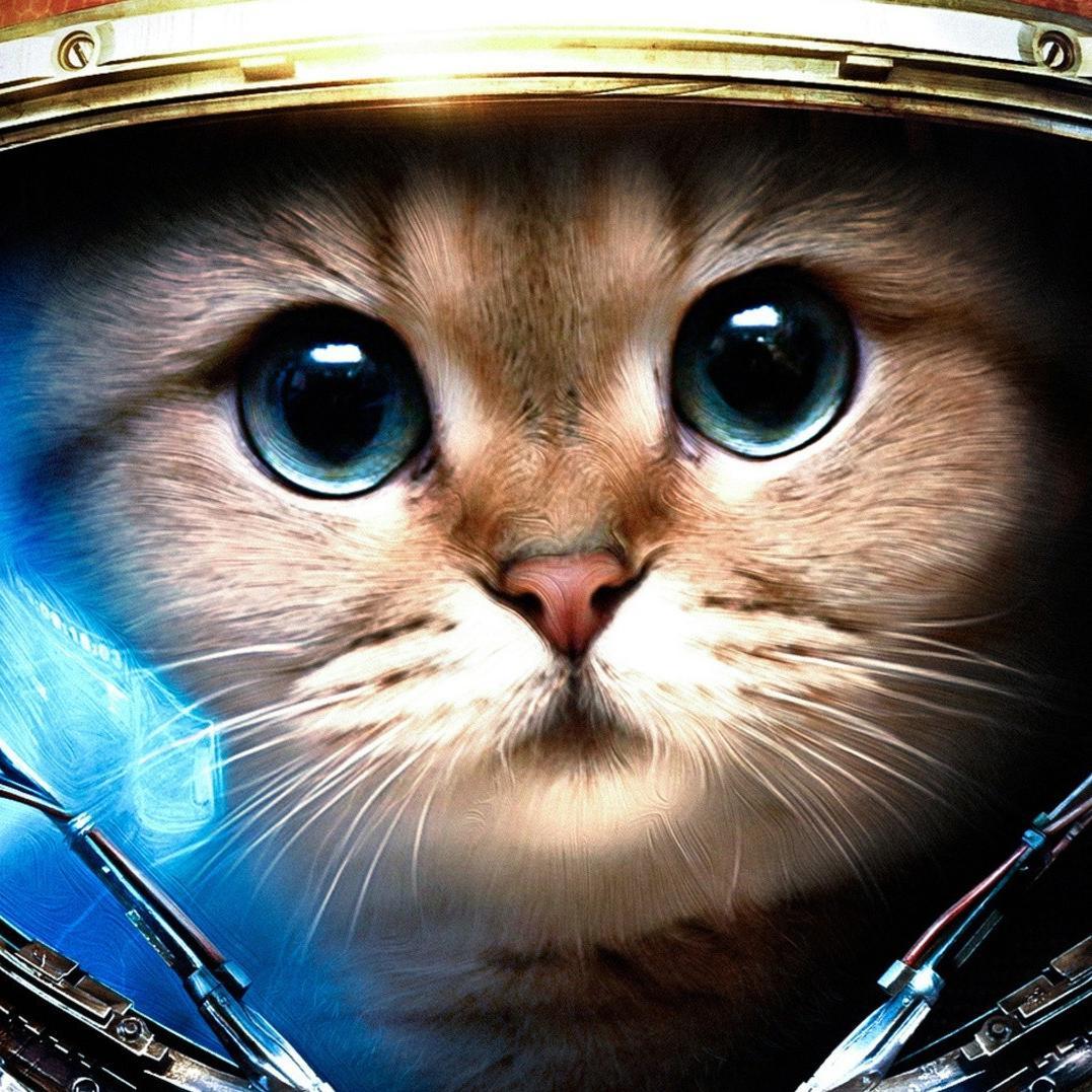 MaximBabak's profile picture. 