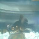 Tim Pollock - @timmpo - Twitter