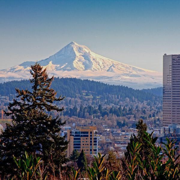 NWTech_Solution's profile picture. Serving the Portland/Vancouver area since 2006. We specialize in Computer repair, networking, and Home Theater installation.