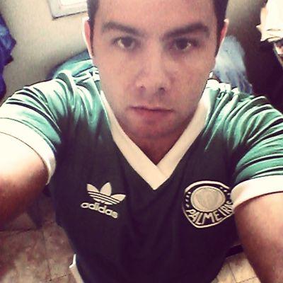Palmeirense decacampeao