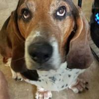 Kevin Lewis (@klewieblu) 's Twitter Profile Photo