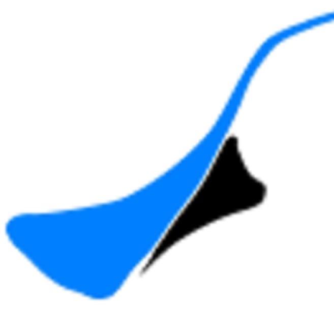 Honiton Swimming Club welcomes swimmers of all ages, please visit our website or mail us with your interest
