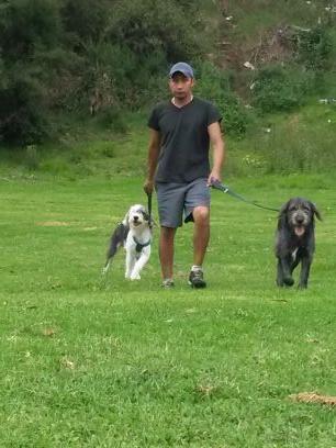 kmilodfas's profile picture. 