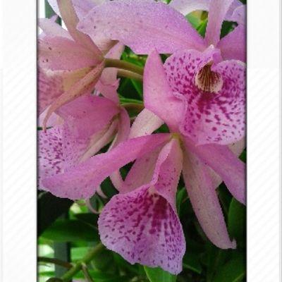 moraimag06's profile picture. 