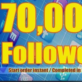 70,000+ Stable/NON Drop/Fast Followers. for $30