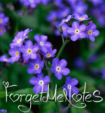 ForgetMeNotes