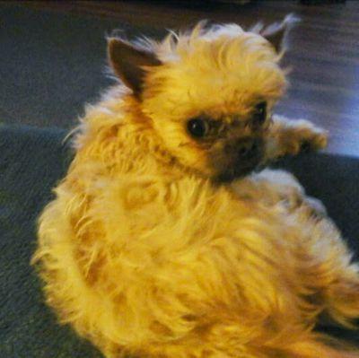 Garry7238's profile picture. Hey if you follow and I will try to follow you back as fast as I can.
(I'm not on here all the time but you can still follow me still)