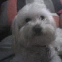 George Paez - @BlueisbeastPaez - Twitter