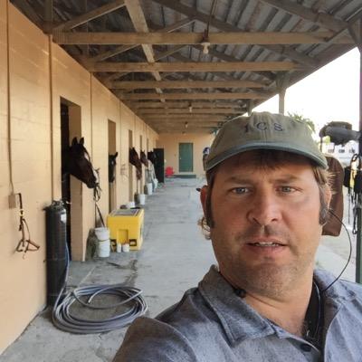 Quality horse hay serving South Florida
Timothy alfalfa orchard grass alfalfa Timothy orchard grass
free delivery 20 bales or more