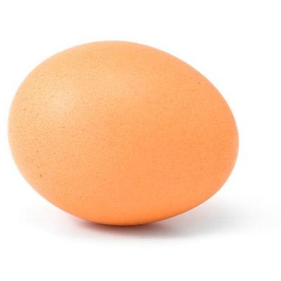 eggiestegg's profile picture. egg