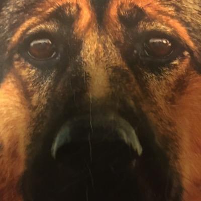 joeytubs's profile picture. 