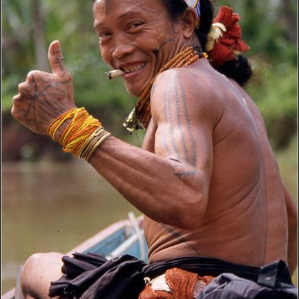 metawai88's profile picture. 